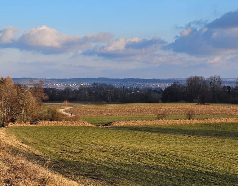 Utting Keltenschanze – Ein Ort, eine Kultur: Wer waren die Kelten? Geschichte und Wanderwegerwege.