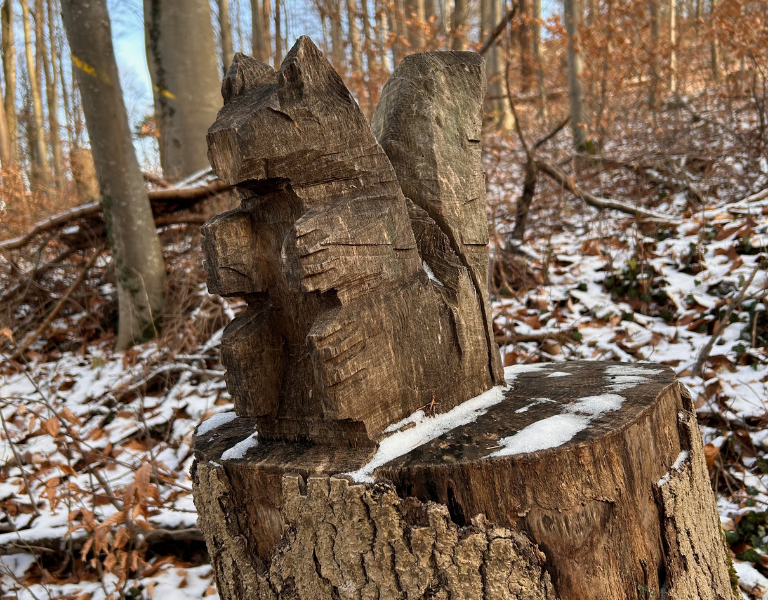 Wenn die Blaskapelle durch den Burgwald marschiert: Ein Neujahrsspaziergang in Dießen.